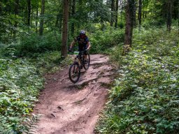 20250719_12_57_31_trailsurfer_dsc_4340