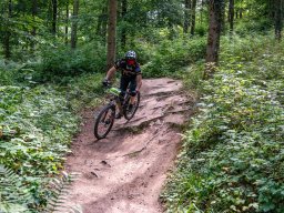 20250719_12_57_31_trailsurfer_dsc_4341