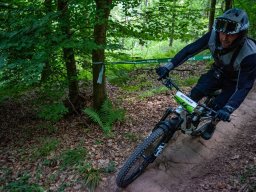 20250719_12_58_12_trailsurfer_dsc_4348