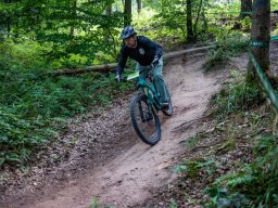 20250719_12_58_38_trailsurfer_dsc_4352