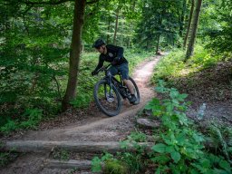 20250719_12_59_24_trailsurfer_dsc_4354