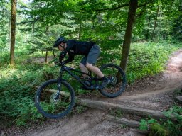 20250719_12_59_24_trailsurfer_dsc_4356