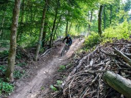 20250719_13_01_16_trailsurfer_dsc_4362
