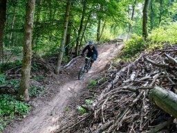20250719_13_01_16_trailsurfer_dsc_4363