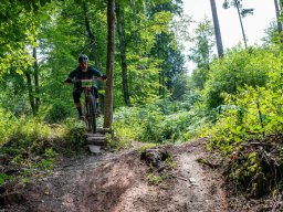 20250719_13_02_49_trailsurfer_dsc_4366