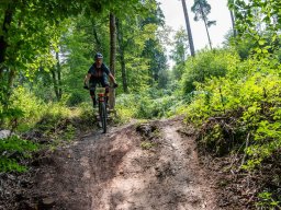 20250719_13_02_49_trailsurfer_dsc_4367