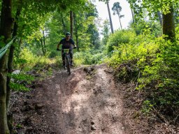 20250719_13_02_49_trailsurfer_dsc_4368