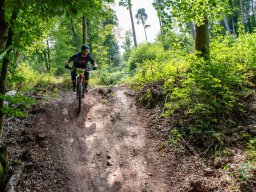 20250719_13_02_49_trailsurfer_dsc_4369