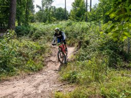 20250719_13_09_57_trailsurfer_dsc_4425