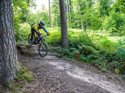20250719_13_11_24_trailsurfer_dsc_4432