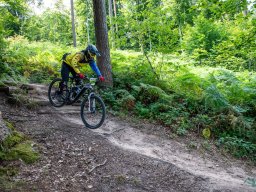20250719_13_11_24_trailsurfer_dsc_4433