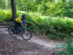 20250719_13_11_24_trailsurfer_dsc_4434
