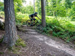 20250719_13_12_25_trailsurfer_dsc_4437