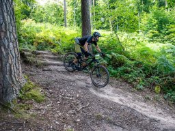20250719_13_12_26_trailsurfer_dsc_4438