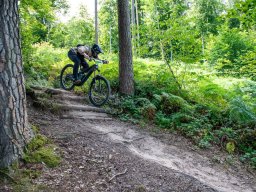 20250719_13_13_10_trailsurfer_dsc_4439