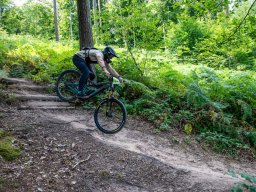 20250719_13_13_10_trailsurfer_dsc_4440