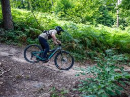 20250719_13_13_11_trailsurfer_dsc_4441