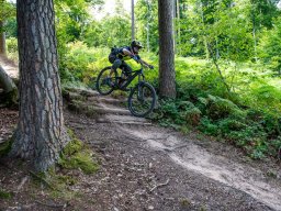 20250719_13_13_58_trailsurfer_dsc_4442