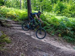 20250719_13_13_58_trailsurfer_dsc_4443