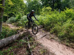 20250719_13_15_27_trailsurfer_dsc_4447