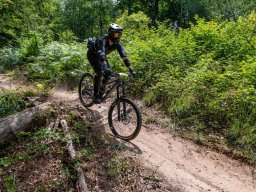 20250719_13_15_27_trailsurfer_dsc_4448