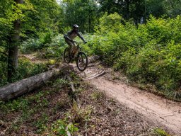 20250719_13_16_10_trailsurfer_dsc_4449