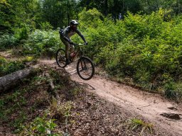 20250719_13_16_10_trailsurfer_dsc_4450