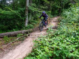 20250719_13_17_14_trailsurfer_dsc_4451