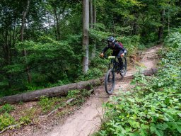 20250719_13_17_45_trailsurfer_dsc_4455