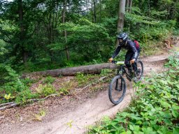 20250719_13_17_45_trailsurfer_dsc_4456
