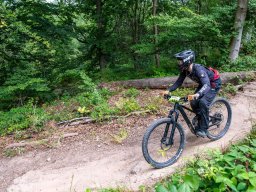 20250719_13_17_46_trailsurfer_dsc_4457