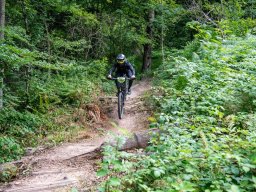 20250719_13_18_09_trailsurfer_dsc_4459