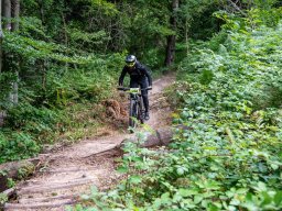 20250719_13_18_09_trailsurfer_dsc_4460