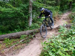 20250719_13_18_10_trailsurfer_dsc_4462