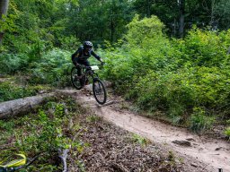 20250719_13_19_10_trailsurfer_dsc_4465