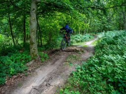 20250719_13_20_41_trailsurfer_dsc_4469