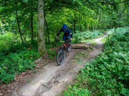 20250719_13_20_41_trailsurfer_dsc_4470
