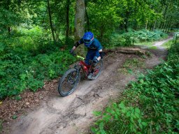 20250719_13_20_41_trailsurfer_dsc_4471