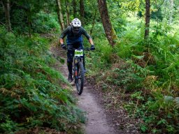 20250719_13_21_59_trailsurfer_dsc_4480