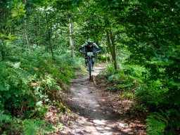 20250719_13_22_27_trailsurfer_dsc_4482