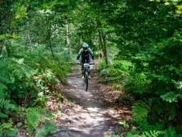 20250719_13_22_27_trailsurfer_dsc_4483