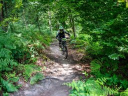 20250719_13_22_28_trailsurfer_dsc_4484