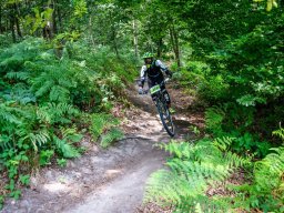 20250719_13_22_28_trailsurfer_dsc_4486