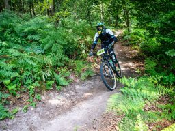 20250719_13_22_28_trailsurfer_dsc_4487