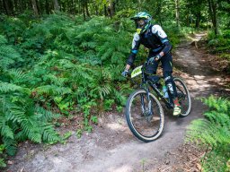 20250719_13_22_28_trailsurfer_dsc_4488
