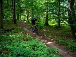 20250719_13_24_01_trailsurfer_dsc_4492