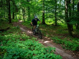 20250719_13_24_01_trailsurfer_dsc_4493