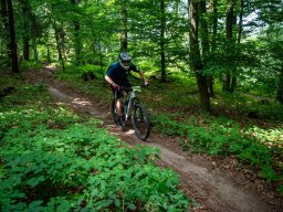 20250719_13_24_01_trailsurfer_dsc_4494