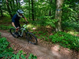 20250719_13_24_02_trailsurfer_dsc_4496
