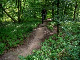 20250719_13_26_31_trailsurfer_dsc_4505